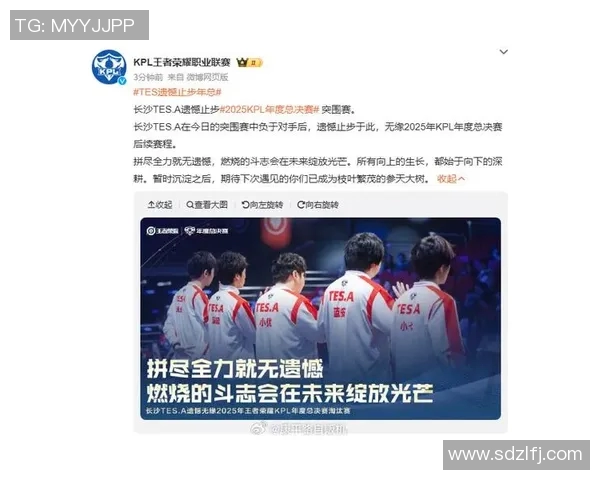 电竞城市赛特别报道TES的拼搏历程与荣耀之路 电竞城市赛特别报道TES的拼搏历程与荣耀之路