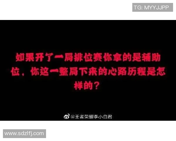 电竞数据深度剖析李丽的王者荣耀成长之路与心路历程 电竞数据深度剖析李丽的王者荣耀成长之路与心路历程