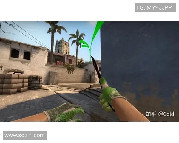 CSGO战术解析：深入剖析WE战队的快速进攻策略与执行细节