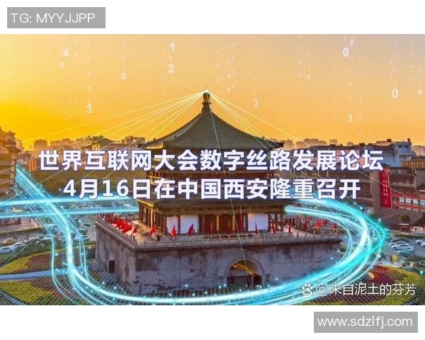 深度探讨王秀英在CSGO中的成长与挑战之路实时数据